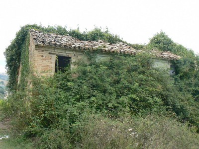 Properties for Sale_La Casetta in Campagna in Le Marche_1